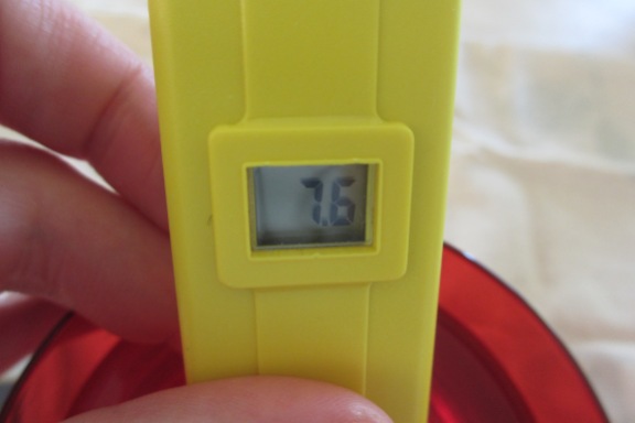 pH meter reading - a little too high.